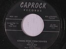 HOYLE NIX: Coming Down From Denver / My Mary 45 Country