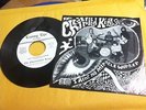 THE CHESTERFIELD KINGS i ain't no miracle worker RARE GARAGE PUNK PSYCH lyres