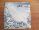 NIGHT SKY The Road That Takes Us Home PRIVATE RARE FOLK LP 1979 MICHAEL SOUTER