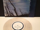 SKYCAMEFALLING - To Forever Embrace The Sun vinyl 10