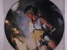 WENDY O WILLIAMS: Wow LP (UK, picture disc, in PVC sleeve) Rock & Pop