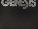 BOX SET GENESIS the beginnings of rock vol 2 memphis to chicago 6641 125 4X LP