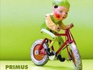 Green Naugahyde [VINYL] Primus Vinyl