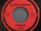 The Vy-Dels Unknown Arnet  Rare Chicago Garage Surf 45