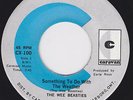 Canada  Psych Fuzz 45  - The WEE BEASTIES - Something To Do With The Weather