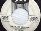 THE CADILLACS Please Mr Johnson / Cool it Fool WHITE LABEL PROMO 45 w55