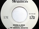 BERMUDA KEYNOTES 45 Zoom-A Roo NEAR MINT Doo Wop R&B Rocker PROMO One Sided e336