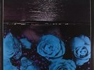 Jessica Bailiff - At The Down-Turned Jagged Rim Of The Sky Vinyl Record LP