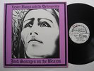 LP Lester Bangs And The Delinquents ?– Jook Savages On The Brazos - mint-