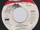 STEPPA Trevor Hartley African We Going Roots African Dub BLACK ROOTS 7