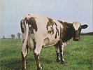 LP: Pink Floyd 