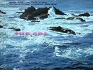 Debussy - La Mer +++Vinyl 200g+Analogue Productions+NEU+OVP