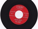 Rare NW Instrumental Rock 45 Neil Rush & Aztecs 