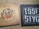 The Story So Far / Stick To Your Guns Split w/screen print sleeve 110/300