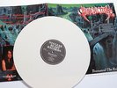 BENEDICTION - Transcend the Rubicon LP 1993 FRIST PRESS asphyx sinister gorefest
