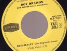 Roy Orbison 