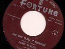 DANNY RICHARDS One Way Ticket To Tennessee FORTUNE Detroit Rockabilly LISTEN
