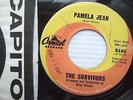 SURVIVORS Pamela Jean / After The Game BRIAN WILSON SURF 45 excellent vinyl e82