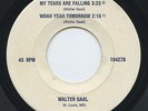 Hear- Rare Garage Country EP- Walter Gaal - My Tears Are Falling/Woah Yeah