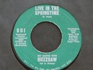 BUZZSAW Live In Springtime 45 Lemon Drops GARAGE Fuzz