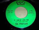 THE PROFILES - IF I DIDN'T LOVE YOU..U.S DUO