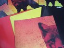 The Prodigy - The Day Is My Enemy Limites Edition 3 Record Box
