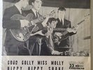 The Swinging Blue Jeans  Rare Brasil 45s  *Good Golly Miss Molly *EX  Condition