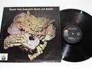 *Stunning NM+* BLACK CAT BONES 