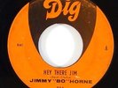 Jimmy 'Bo' Horne 