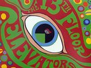 The 13th Floor Elevators - The Psychedelic Sounds of... US 2008 Mono Re-issue.