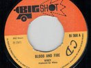 NINEY - BLOOD AND FIRE / MUD AND WATER - BIG SHOT