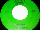 RARE NEW ORLEANS FUNK THE GATURS 