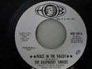 The Raspberry Singers - Peace In The Valley/The Lord Is Coming, white promo 45