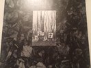 FLUX OF PINK INDIANS STRIVE TO SURVIVE LP FIRST PRESS WITH BOOKLET CRASS