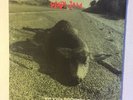 Pearl Jam Who Killed Rudolph 1992 Fan Club 7