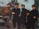 Hollies, The - Evolution (LP, Album) - Vinyl - 66787