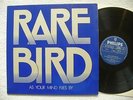 RARE BIRD 