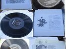 DEEP FREEZE MICE-1stLP 250 copies MY GERANIUMS ARE.. UK MOLE EMBALMING  1979 DIY
