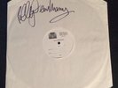 Pj Harvey Signed Test Press Vinyl Lp Record Autograph