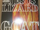 JESUS LIZARD 