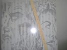 Shadow Ring Lighthouse dbl lp NWW DIY Siltbreeze Harry Pussy Graham Lambkin