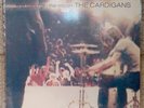 THE CARDIGANS First Band On The Moon NEW 1996 EU LP STOCKHOLM Records INDIE Pop