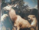Interpol - Our Love To Admire - Double Gatefold Vinyl LP - NM