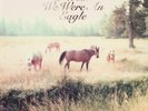 BILL CALLAHAN - SOMETIMES I WISH WE WERE AN EAGLE  VINYL LP NEW+