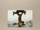 SHELLAC DUDE INCREDIBLE VINILE LP 180 GRAMMI + CD NUOVO E SIGILLATO 