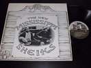 NEW MISSISSIPPI SHEIKS LP Rounder #2004 Original '72 Delta Blues VG++ w/ POSTER