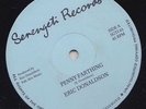'87 SERENGETI DIGI ROOTS 12