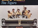Rare Hot Rod 45 Pic Sleeve The Tigers 