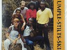 RARE OHIO SOUL FUNK BOOGIE LP/ RUMPLE-STILTS-SKIN 
