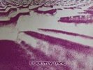 country lane - substratum ( CH  1973 )  - re-release - LP